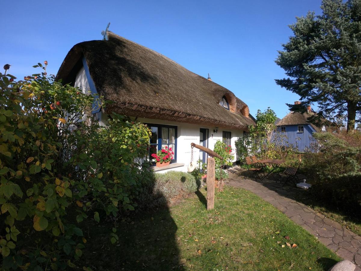 Landhaus Darss Вік Екстер'єр фото