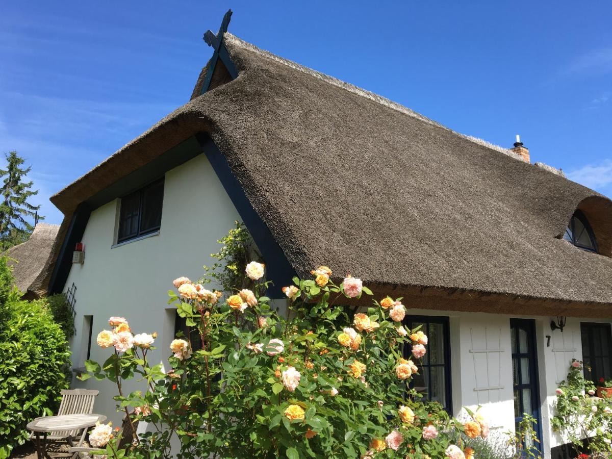 Landhaus Darss Вік Екстер'єр фото