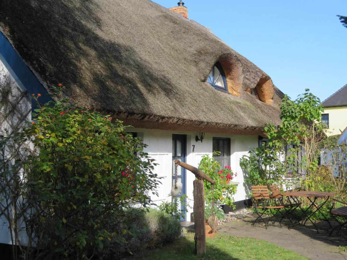 Landhaus Darss Вік Екстер'єр фото